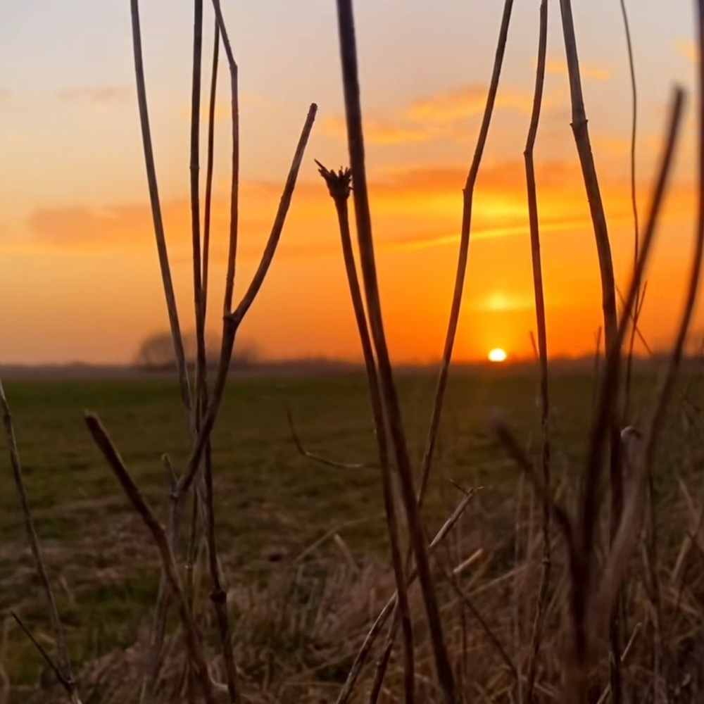 Meet your Posher, Pamela